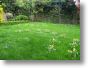 B-Garten-1h